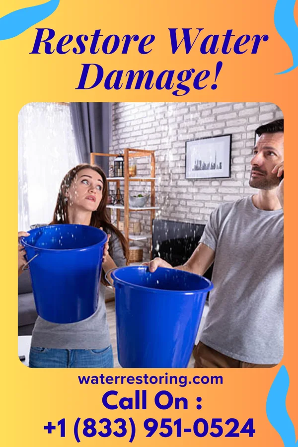 water restoration Premier Water Removal Masters Crawfordville